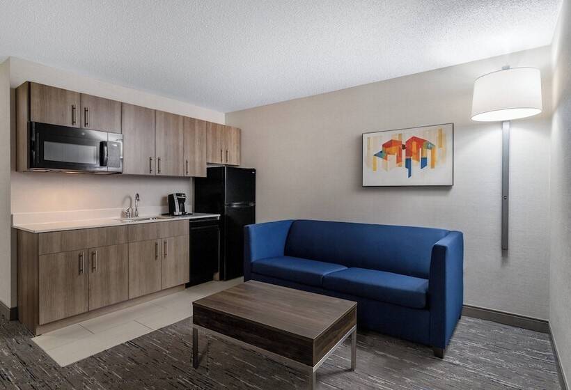 침실 2개 스위트, Holiday Inn Express Hotel & Suites St. Paul, An Ihg