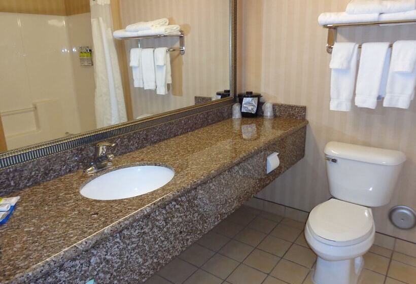 Номер Стандарт, Holiday Inn Express & Suites New Buffalo, Mi, An Ihg