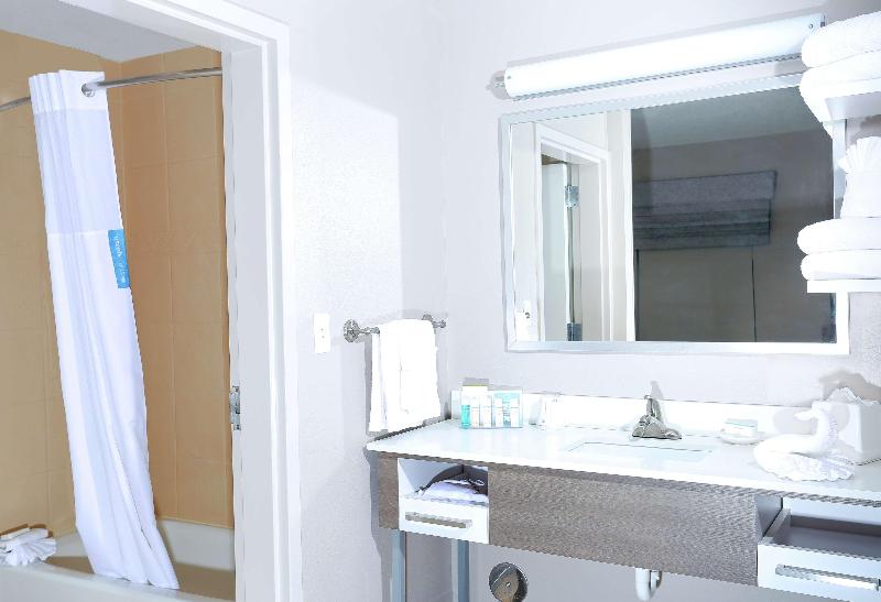 Люкс Кровать Кинг, Hampton Inn & Suites Tampawesley Chapel