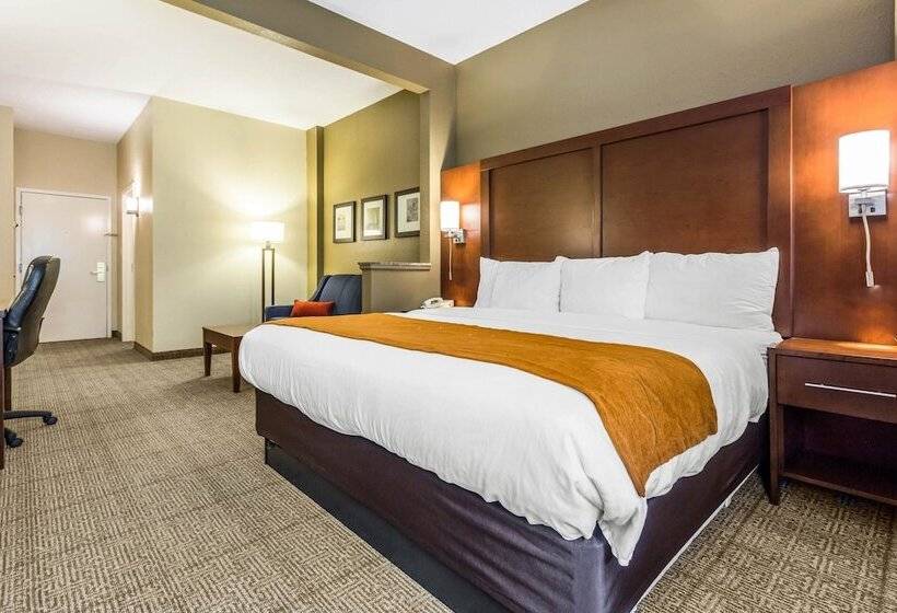身障者適用スイートルーム, Comfort Suites At The University