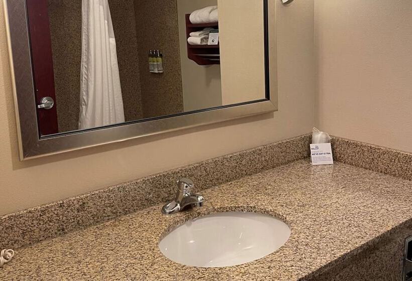 スタンダードルーム, Holiday Inn Express & Suites Niagara Falls, An Ihg