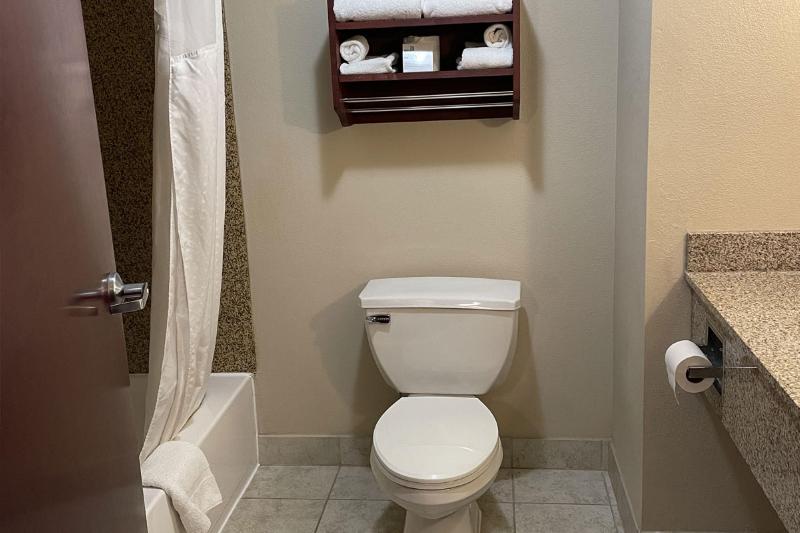キングサイズベッドのスタンダードルーム, Holiday Inn Express & Suites Niagara Falls, An Ihg