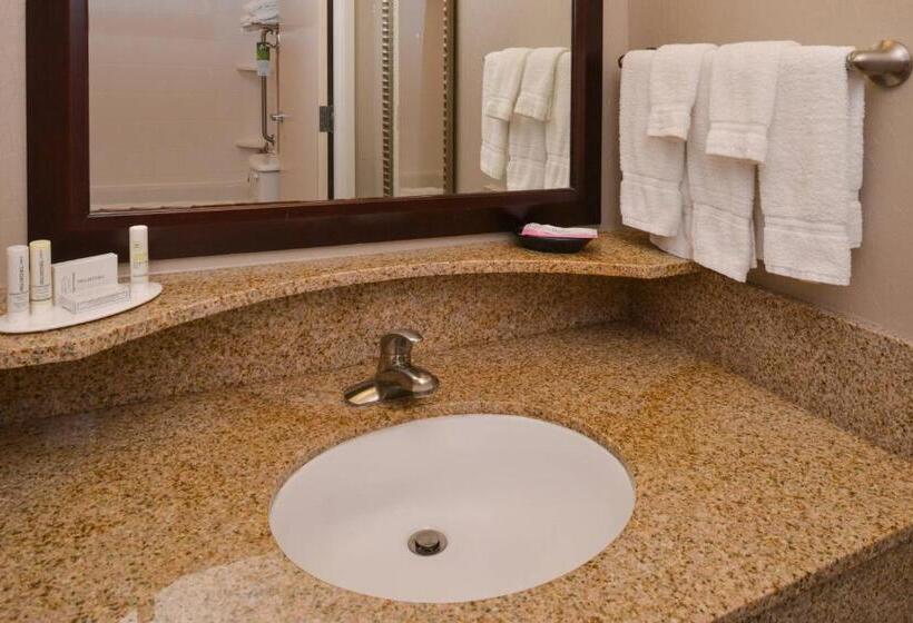 Студио Стандарт Кровать Кинг, Springhill Suites Pittsburgh Mills
