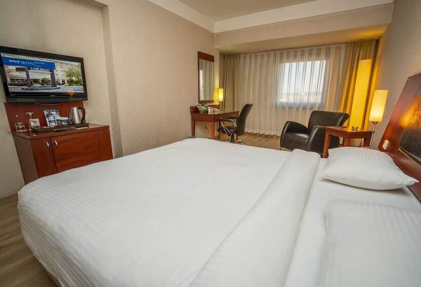 디럭스 룸, Anemon Grand Eskisehir