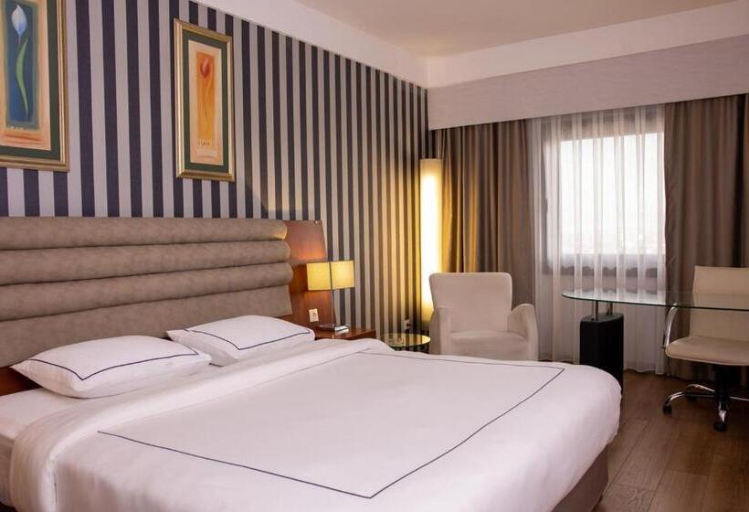 디럭스 룸, Anemon Grand Eskisehir