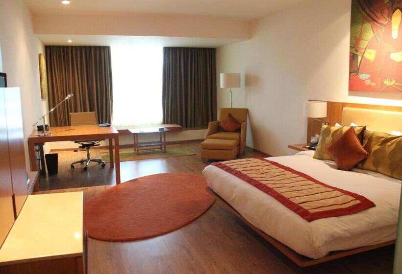 Номер Superior, Radisson Blu Plaza Hotel Hyderabad Banjara Hills