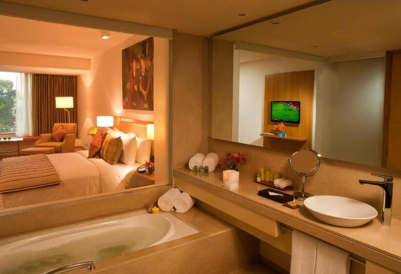 Люкс Повышенной Комфортности, Radisson Blu Plaza Hotel Hyderabad Banjara Hills