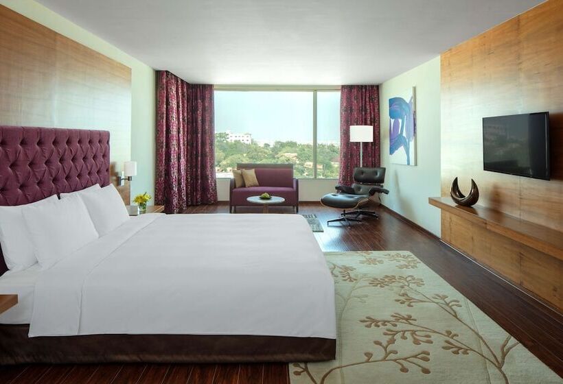 Люкс, Radisson Blu Plaza Hotel Hyderabad Banjara Hills