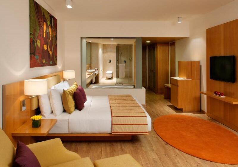 Номер Deluxe, Radisson Blu Plaza Hotel Hyderabad Banjara Hills