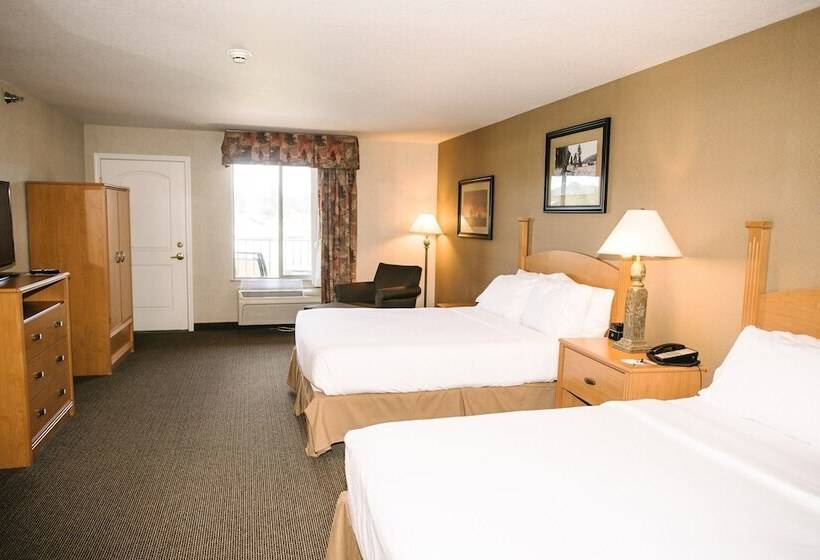 Номер Стандарт, Holiday Inn Express & Suites Custer Mt Rushmore