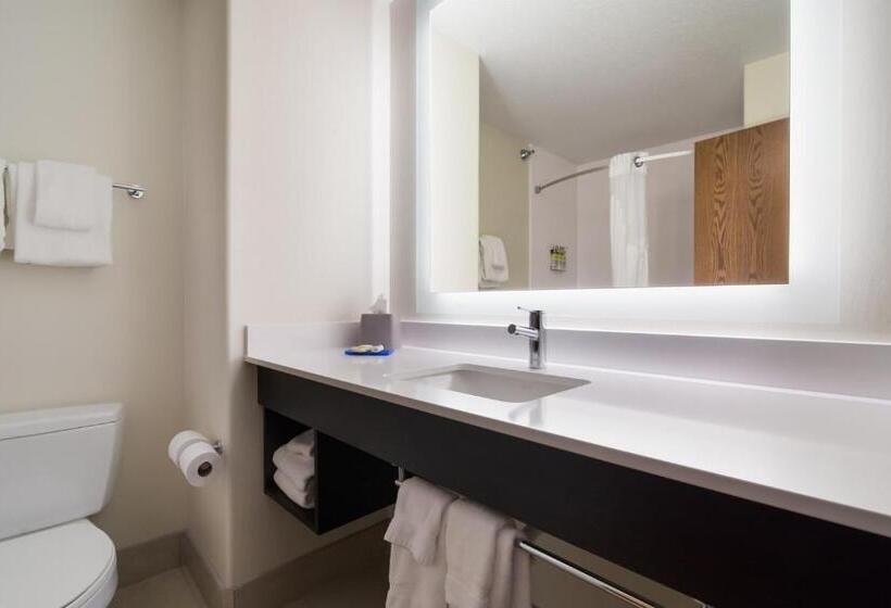 Люкс Кровать Кинг, Holiday Inn Express & Suites Custer Mt Rushmore