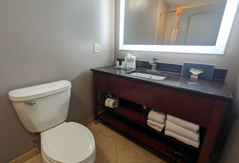 Люкс Повышенной Комфортности, La Quinta By Wyndham Woodway   Waco South