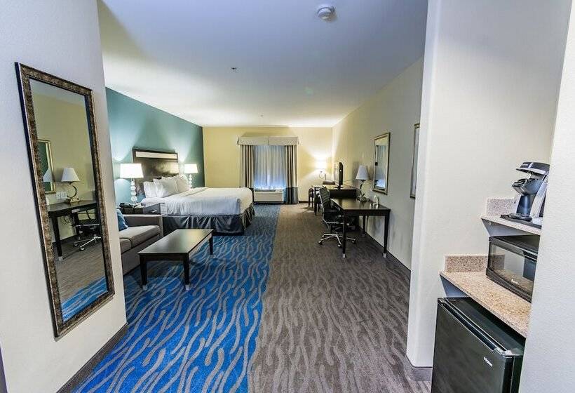 סוויטה, Holiday Inn Houston Webster By Ihg