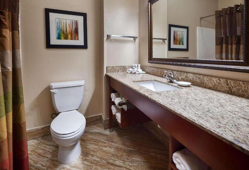 Люкс Кровать Кинг, Best Western Plus Monahans Inn And Suites