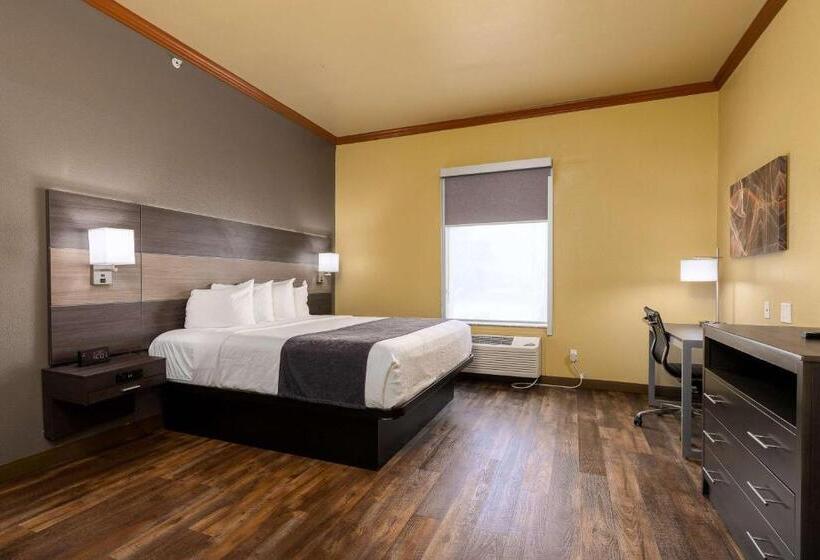 带大床的标准间, Best Western Plus Portland