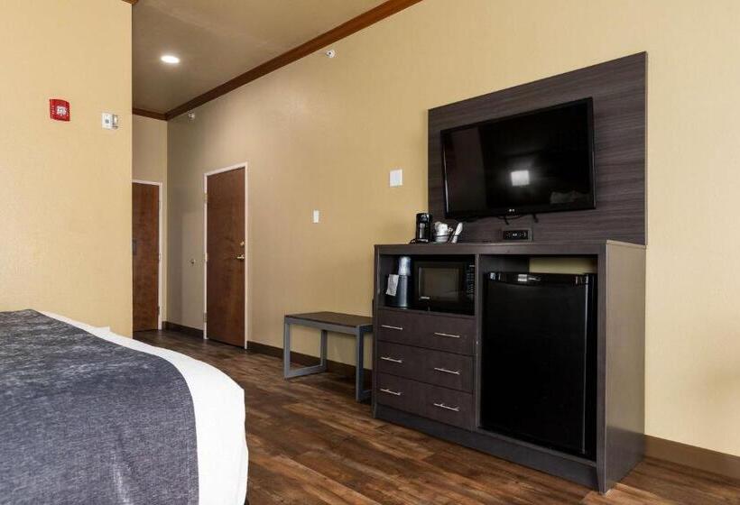 장애인을 위한 킹사이즈 침대 스탠다드 룸, Best Western Plus Portland