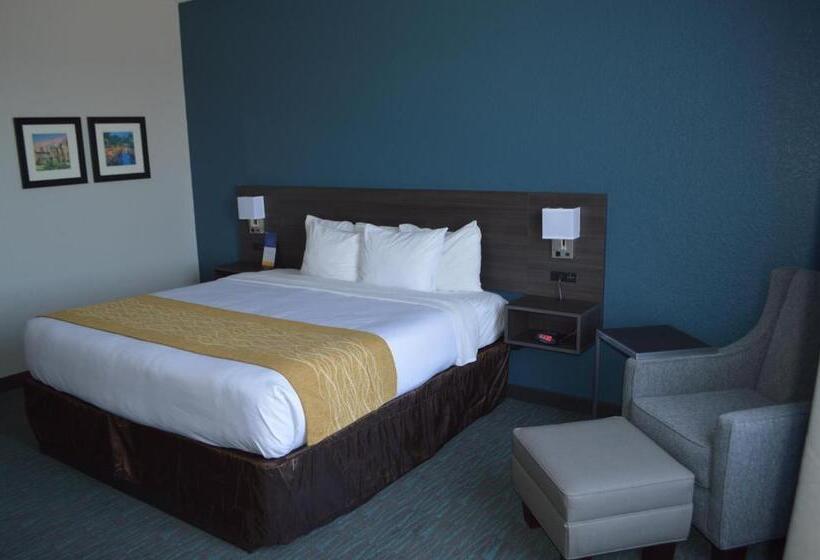 Стандартный Номер Кровать Кинг, Comfort Inn & Suites Selma Near Randolph Afb