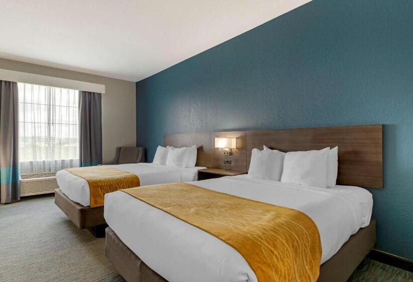 Номер Стандарт, Comfort Inn & Suites Selma Near Randolph Afb