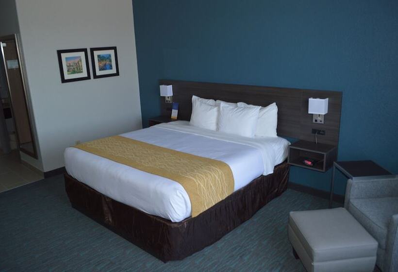 Люкс Адаптированный для Инвалидов, Comfort Inn & Suites Selma Near Randolph Afb