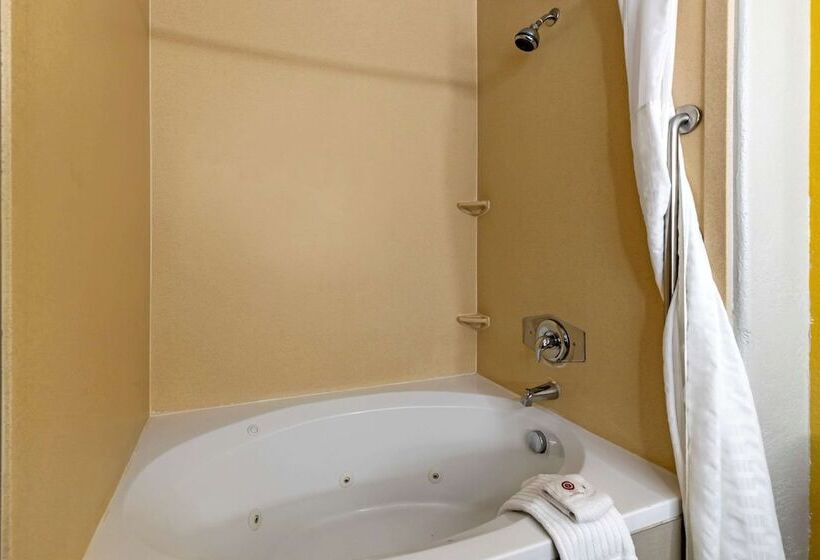Люкс Адаптированный для Инвалидов, Comfort Inn & Suites Selma Near Randolph Afb