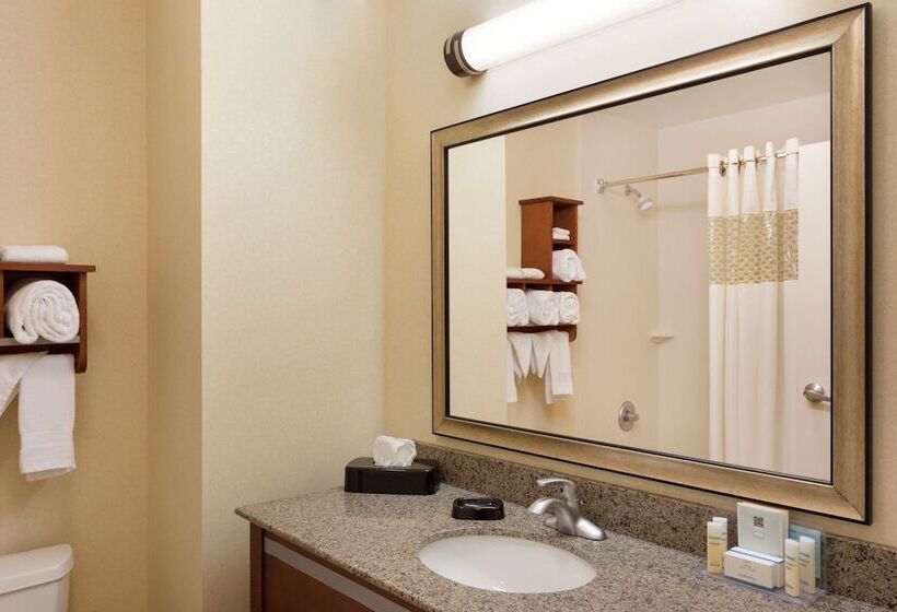 Номер Стандарт, Hampton Inn & Suites Detroit/chesterfield Township