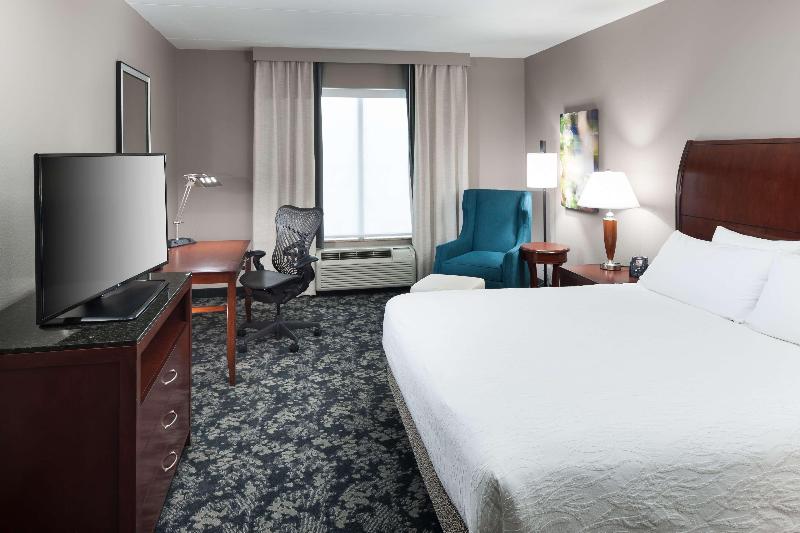 스탠다드 룸 킹사이즈 침대, Hilton Garden Inn Frisco