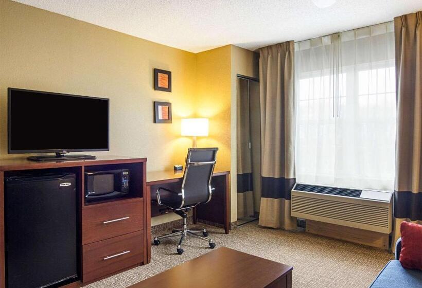 Люкс Адаптированный для Инвалидов, Comfort Inn & Suites Graftoncedarburg