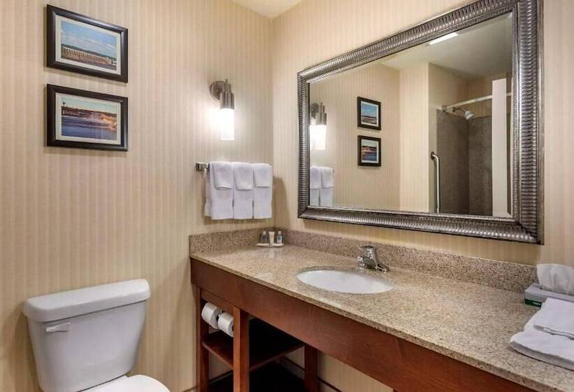 Люкс, Comfort Suites Florence Shoals Area