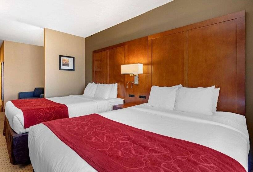 Люкс, Comfort Suites Florence Shoals Area