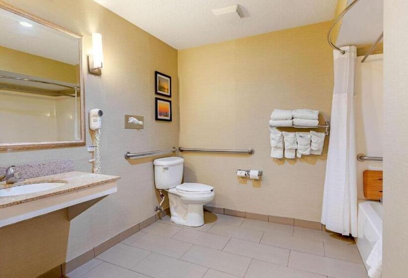 适合残疾人士使用的套间, Comfort Suites South Haven Near I96