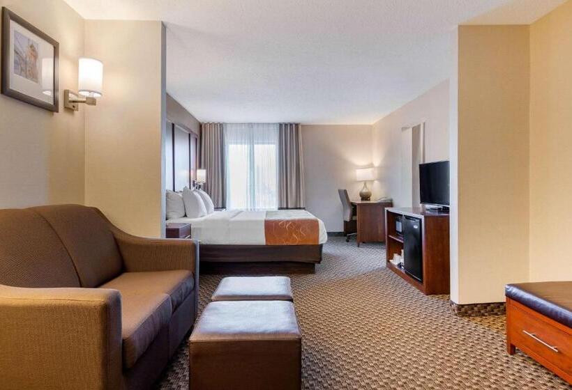 适合残疾人士使用的套间, Comfort Suites South Haven Near I96