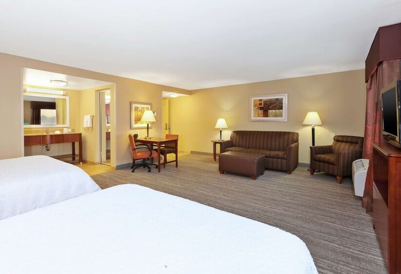 Студия Стандарт, Hampton Inn & Suites Exmore   Eastern Shore