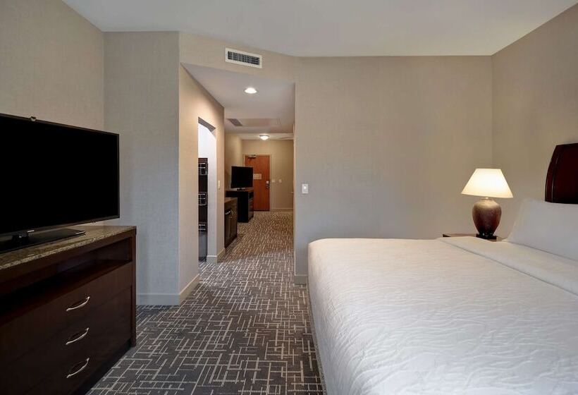 장애인을 위한 스탠다드 룸, Hilton Garden Inn Twin Falls