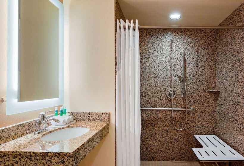 スタンダードルーム, Holiday Inn Express And Suites Missoula, An Ihg
