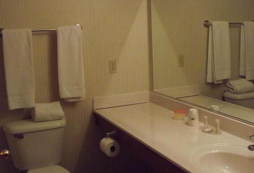 Номер Стандарт Адаптированный для Инвалидов, Howard Johnson By Wyndham Oacoma Hotel & Suites