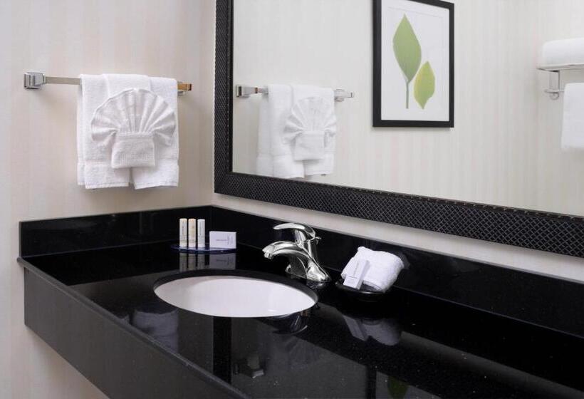 Номер Стандарт, Fairfield Inn & Suites By Marriott Dallas Plano The Colony