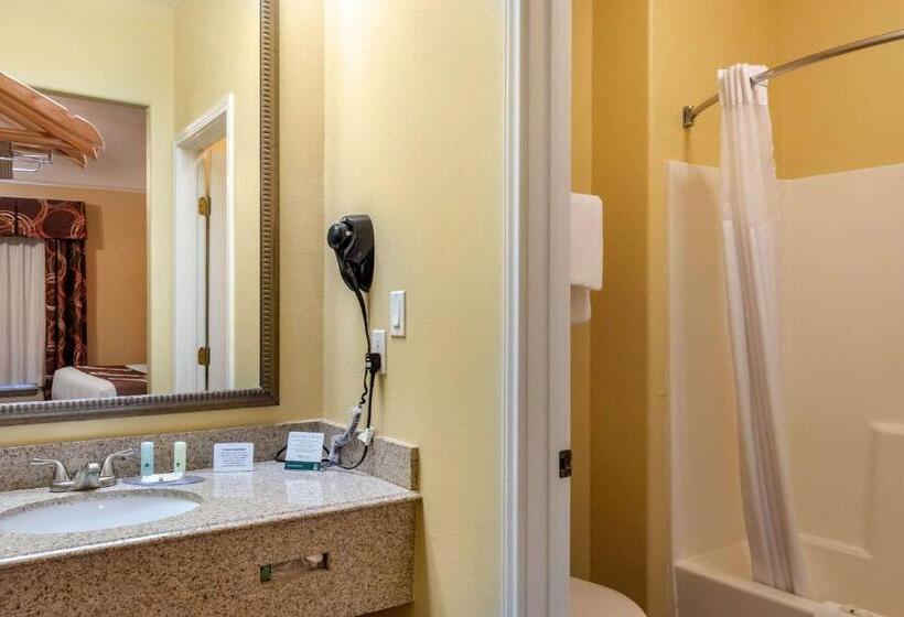 Люкс Кровать Кинг, Quality Inn & Suites At The Outlets Mercedes Weslaco
