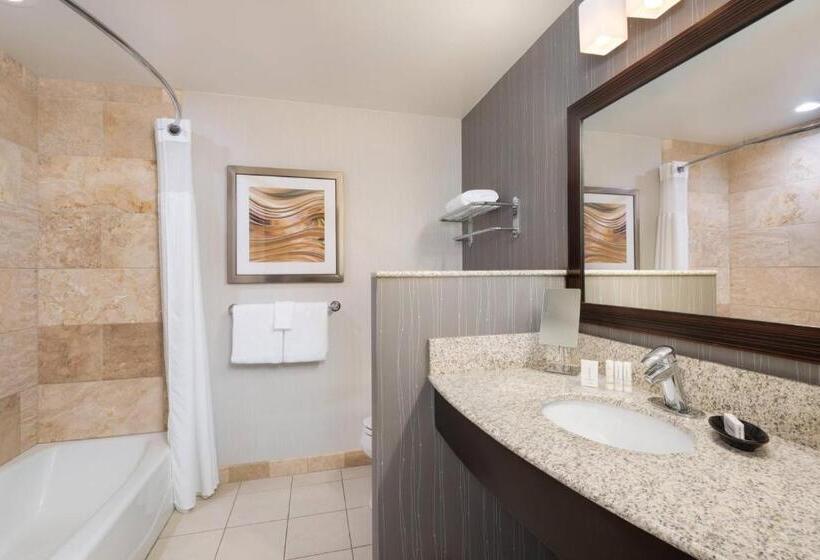 带大床的套房, Courtyard By Marriott Pittsburgh Washington Meadow Lands