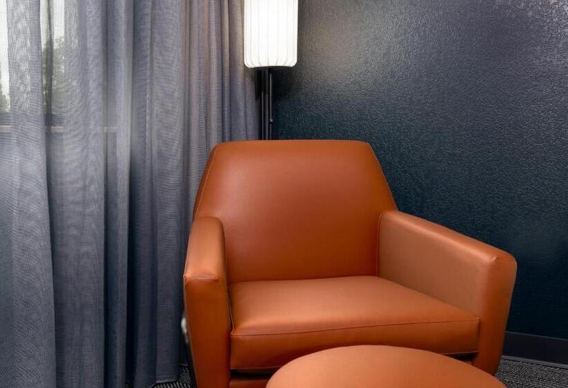 장애인을 위한 스탠다드 룸, Courtyard Tallahassee North/i10 Capital Circle