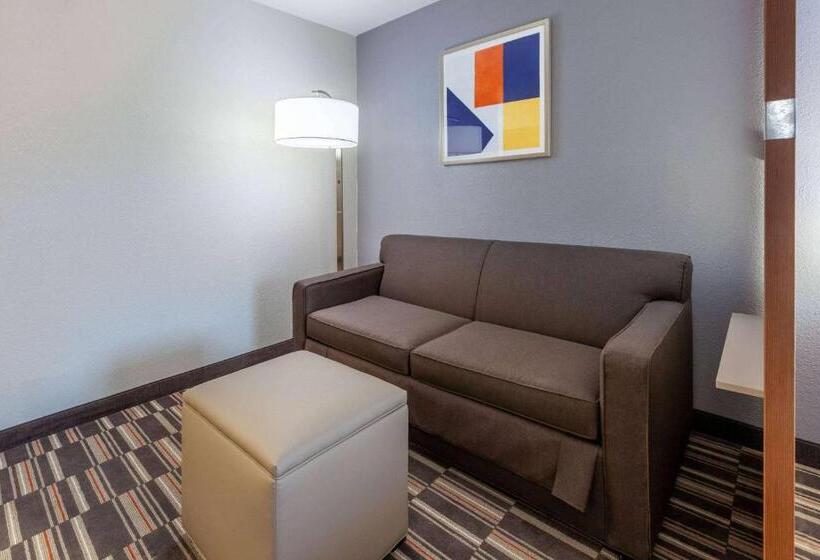 Студио Стандарт Кровать Кинг, Microtel Inn & Suites By Wyndham Sunbury/columbus North