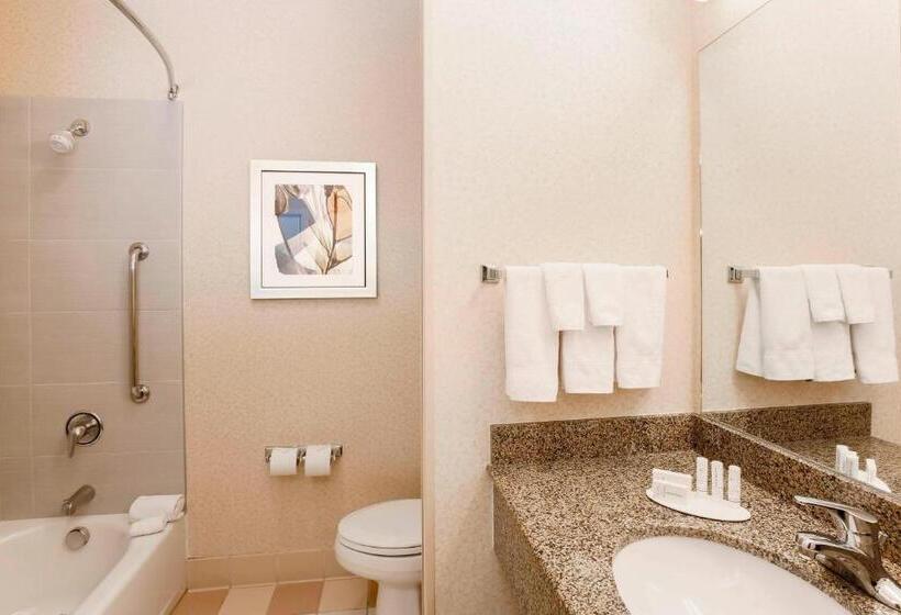 스탠다드 룸 킹사이즈 침대, Fairfield Inn & Suites Temecula