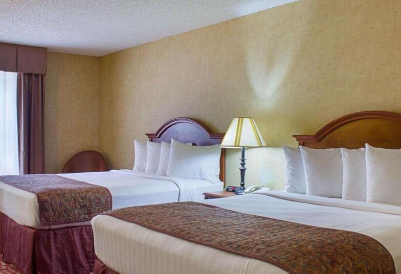 标准间, Rodeway Inn Columbia Mall Loop