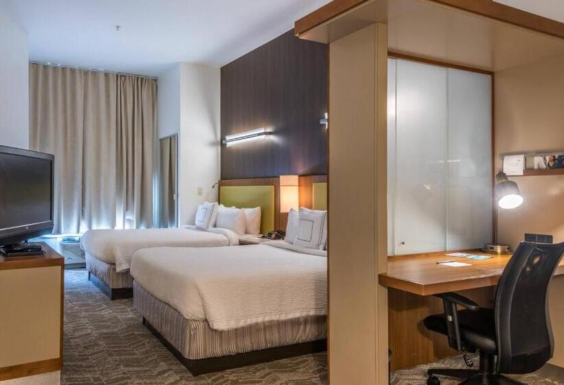 스탠다드 스튜디오 킹침대, Springhill Suites Statesboro University Area