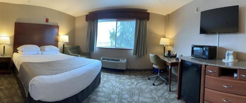 Номер Стандарт Кровать Кинг Адаптированный для Инвалидов, Medallion Inn And Suites