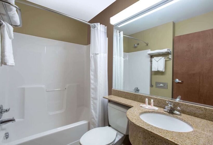 Номер Стандарт, Microtel Inn & Suites By Wyndham Mansfield
