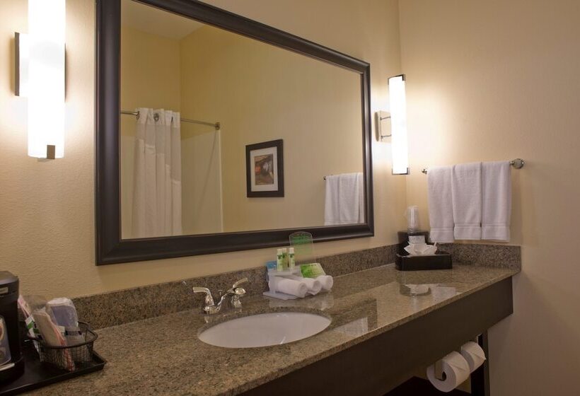 스위트, Holiday Inn Express Hotel & Suites Prattville South, An Ihg
