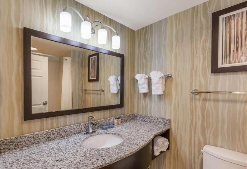 Номер Стандарт, La Quinta Inn & Suites By Wyndham Tulsa Midtown