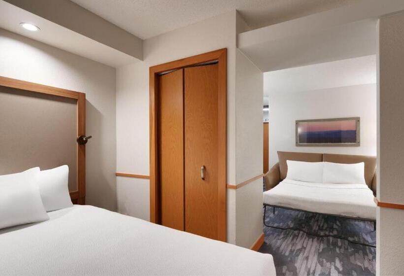 Люкс Кровать Кинг, Fairfield Inn & Suites By Marriott Albany