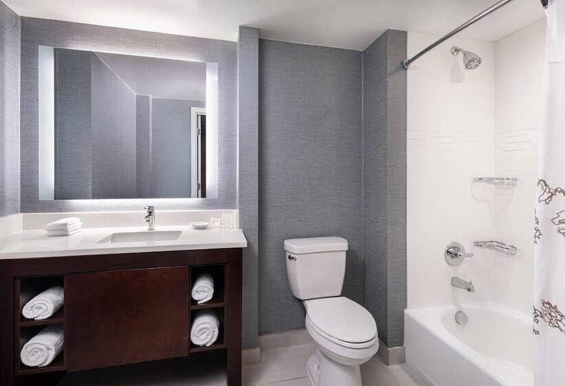 带2个卧室的套房, Residence Inn Denver Cherry Creek