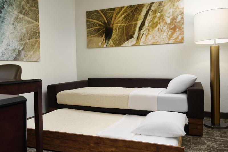 Студио Стандарт Кровать Кинг, Springhill Suites Richmond Northwest